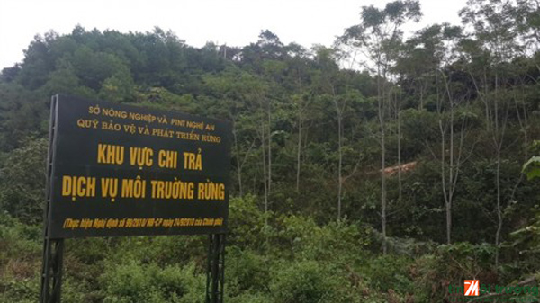 Cần[-]thiết[-]phải[-]đánh[-]giá[-]độc[-]lập[-]hiệu[-]quả[-]chi[-]trả[-]dịch[-]vụ[-]môi[-]trường[-]rừng